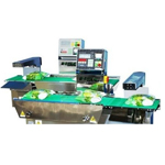C Series Checkweigher