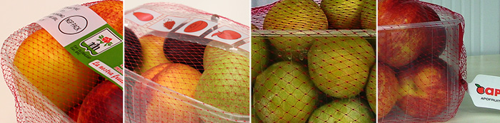 Banner Image Fruit